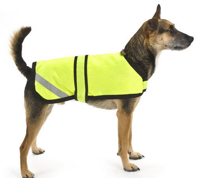 dog safety vest