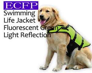 Dog Life Jacket Light Reflection